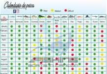 Cancun Fishing Season Calendar