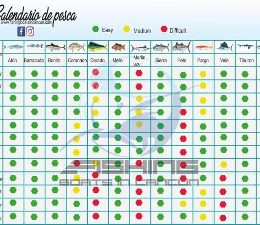 Cancun Fishing Season Cancun Fishing Season Calendar