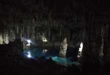 How to Find the Best Cenotes in Mexico The Best Cenote in Mexico