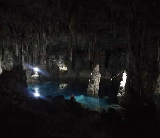 How to Find the Best Cenotes in Mexico The Best Cenote in Mexico