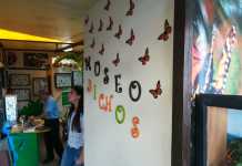 Bug and Insect Museum Queretaro Bug and Insect Museum Queretaro