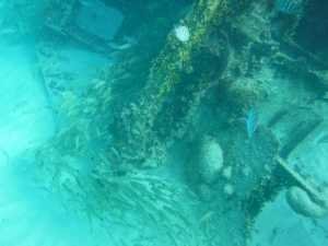 Shipwreck Snorkeling Cancun
