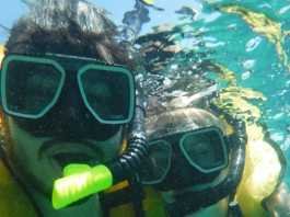 The Best Snorkeling Tour in Cancun The Best Snorkeling in Cancun
